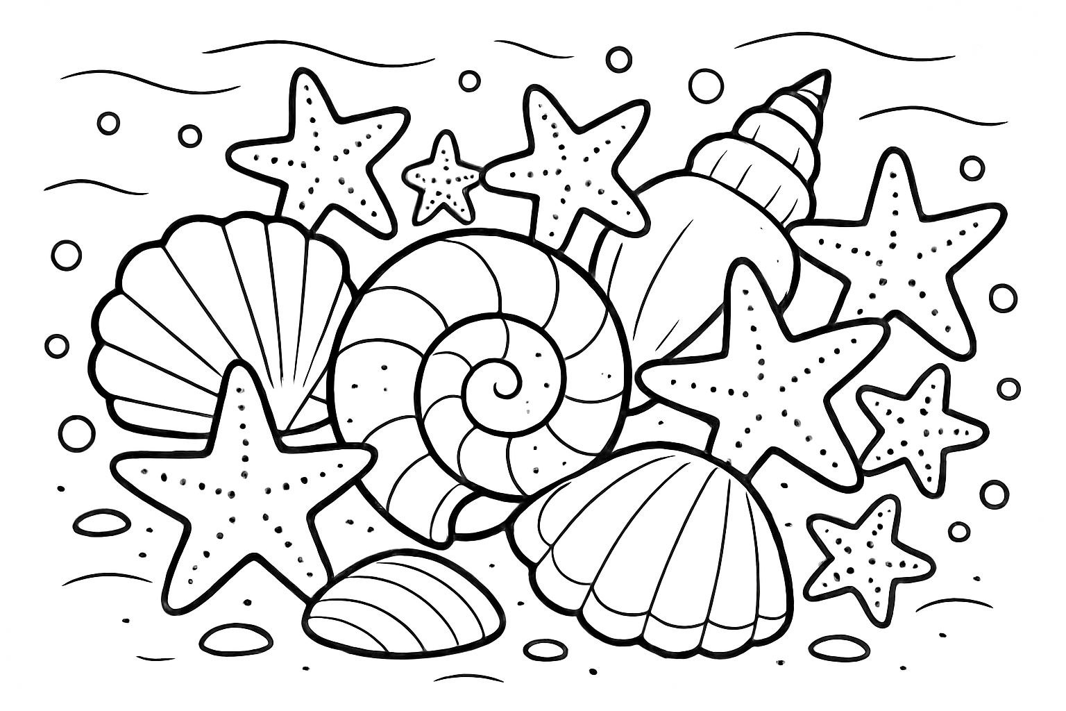 Schelpen & zeesterren